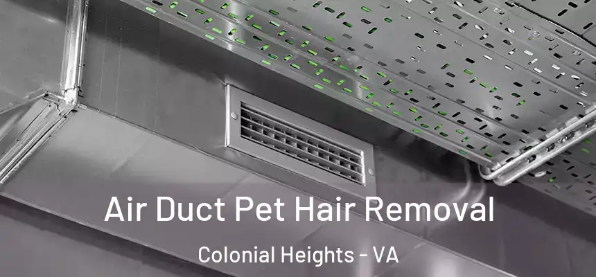 Air Duct Pet Hair Removal Colonial Heights - VA