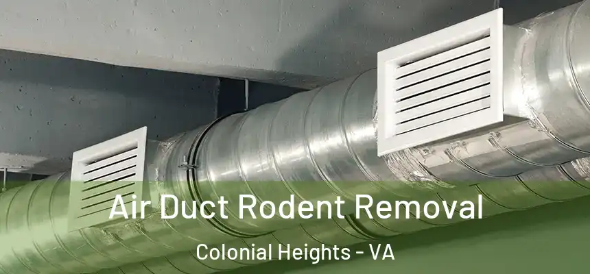 Air Duct Rodent Removal Colonial Heights - VA