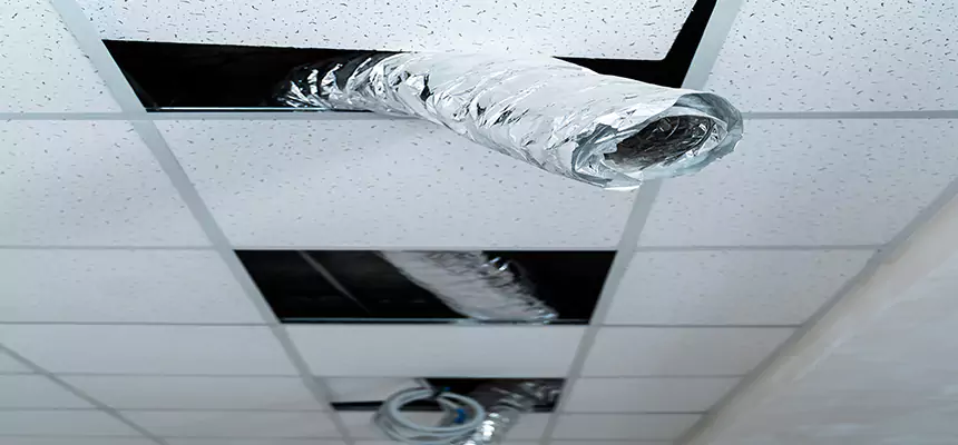 Our Air Duct Pet Hair Removal Services in Colonial Heights, VA