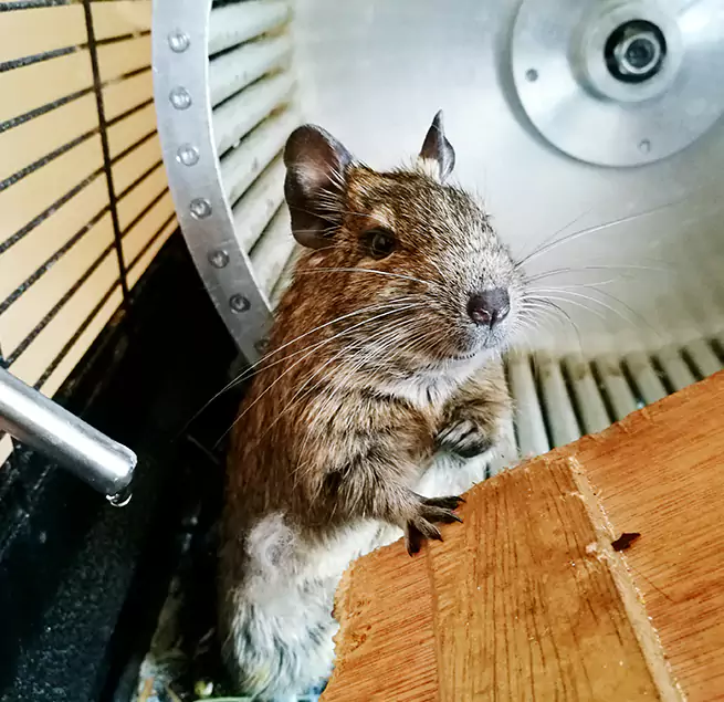 Why Homeowners & Businesses Trust Us Colonial Heights, VA