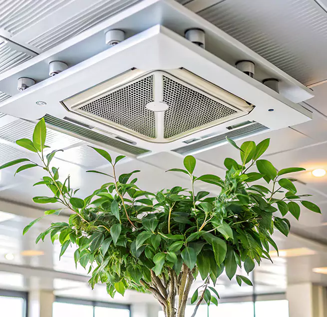 Why Homeowners & Businesses Trust Us in Colonial Heights, VA?